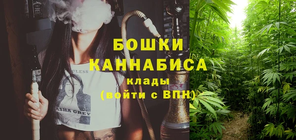 круглые Вязьма