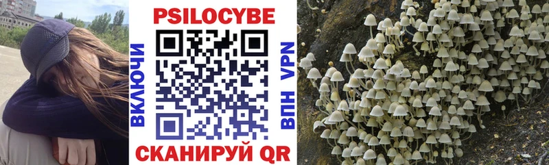 Галлюциногенные грибы GOLDEN TEACHER  Купить  Дивногорск 