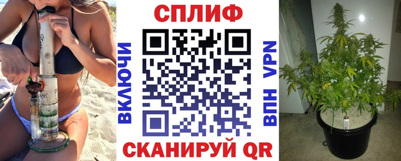 Купить где  Дивногорск  Канабис гибрид 